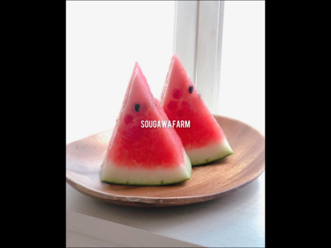 【夏ギフト】贅沢な甘さとシャリ感『空中育ちの大玉すいか』６kg　１玉