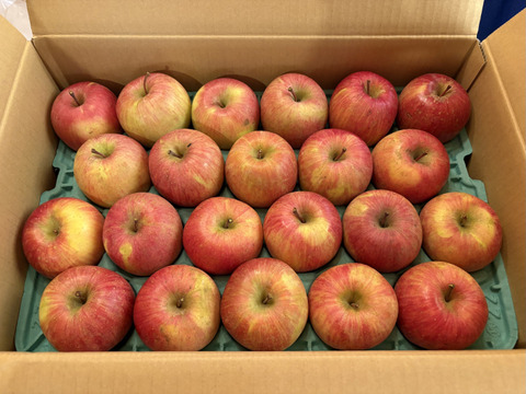 プライスダウン小玉サンふじ(40～48個入り)パック入り2段：長野県産の