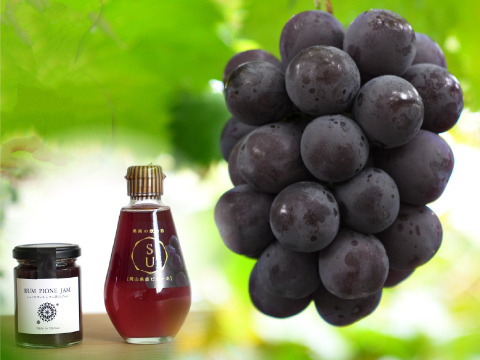 花笑み農園　ニューピオーネと加工品セット（ピオーネジャム＆飲む酢）【9/7～順次発送】P-JN