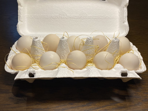 【栄養満点】烏骨鶏(漢方鶏)の卵12個　富士の極卵