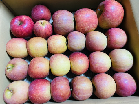 【予約開始！人気商品】旬の甘〜い葉取らずサンふじ24~27個入り【ご家庭用・5kg以上】