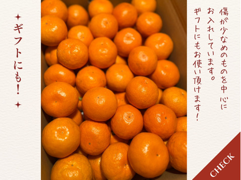 【ゆら早生】箱込み5キロ　2Sサイズ ギフトにも！　有田みかん　極早生　低農薬　【冬ギフト】