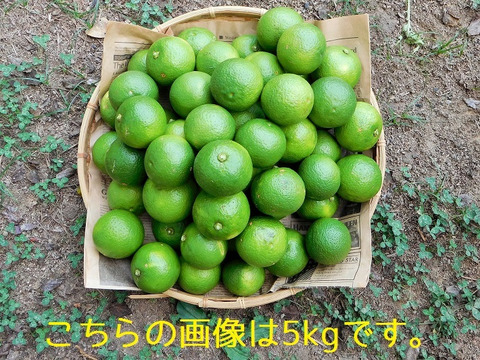 自然栽培 まろやかな酸味 農薬 肥料を使わずに育てた大分県特産の かぼす 1kg 5kg 580円 1kg ｂ品も含む無選別品 大分県産 食べチョク 農家 漁師の産直ネット通販 旬の食材を生産者直送