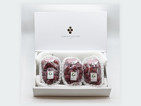 紅の芳醇【プレミアム贈答】クイーンニーナ約500g×3房 （合計約1.5kg）長野県認証/特別栽培同基準（信州の環境にやさしい農産物認証50）【冬ギフト】