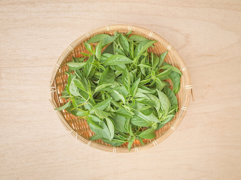 採れたて！新鮮ライムバジル 100g 【農薬化学肥料不使用】