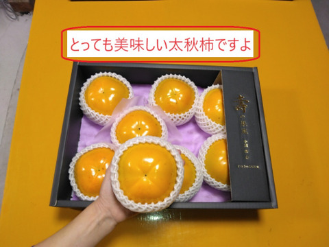 ＃チャンスご購入　甘柿『 太秋柿 』　サイズ　６Ｌ・７個・２.８kg以上化粧箱入り