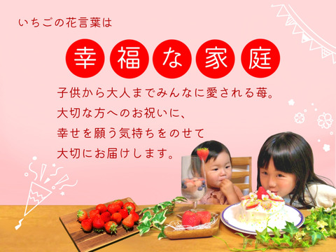 【子どもが喜ぶ】ケーキが映える夏イチゴ【味がギュッと詰まった小粒】
