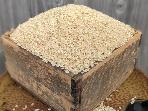 《令和７年収穫》玄米４KG　栽培期間中農薬・化学肥料不使用 自然農業での栽培 五島列島産