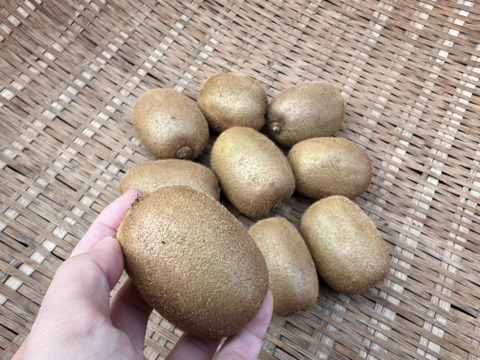 自然農のキウイフルーツ(3kg)