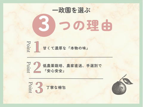 【ゆら早生】箱込み5キロ　Sサイズ ギフトにも！　有田みかん　極早生　低農薬　【冬ギフト】