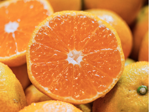 【天皇杯受賞産地】川上みかん 3kg 愛媛県産 新口農園厳選【冬ギフト】贈答用