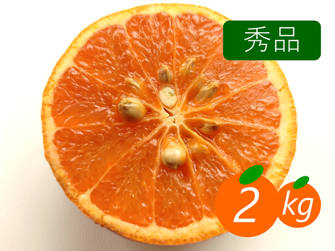 【秀品】カラマンダリン 2kg 春みかん♡濃厚な味わい！愛媛みかん！！
