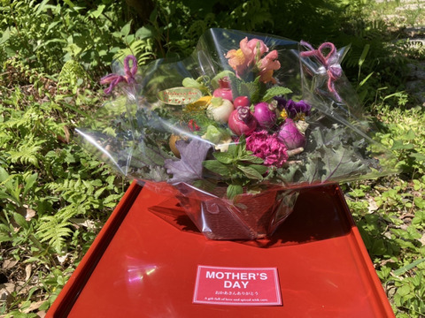 【母の日ギフト】野菜ブーケかごタイプ【メッセージカード付き】【カラフルなミニ野菜】【4/26(土)～5/18(日)お届け】