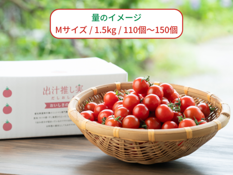 子供のおやつに大人気のミニトマト★10％OFF★　10月発送　2.0kg（家庭用）プチトマト　出汁推し実