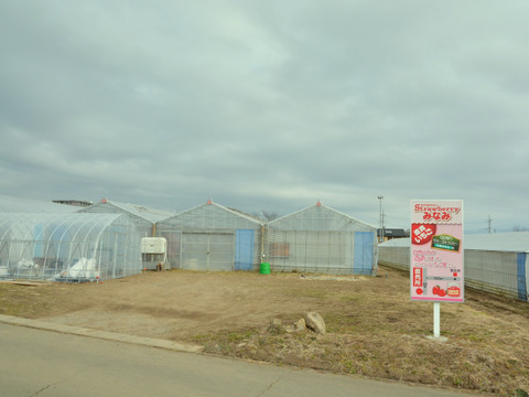 【群馬県産】高級いちご♪とちおとめ化粧箱