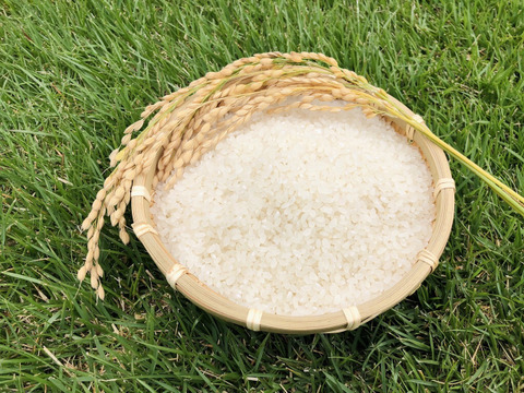 新米[Ｒ3年産]特別栽培米 ミルキークイーンとあきたこまち 各5kgのセット