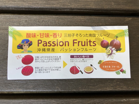 【有機ＪＡＳ認証取得・化学合成農薬不使用】沖縄県産パッションフルーツ２玉入り