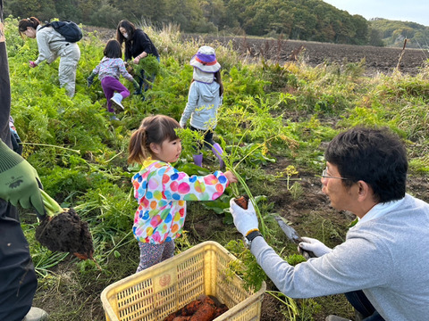 食糧自給率1200％！？食糧大国十勝のにんじん10kg