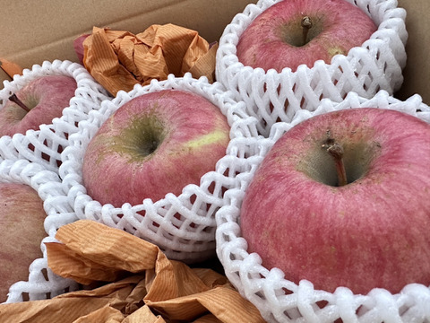 スーパーヘビー級りんご「美丘」約5k箱 「青林」約3kg箱　同梱！