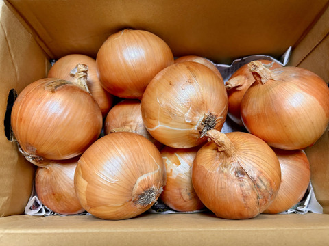 大地の恵み！淡路島完熟玉ねぎ🧅【シャーロットオニオン　輝玉（キラ玉✨）】(4kg)