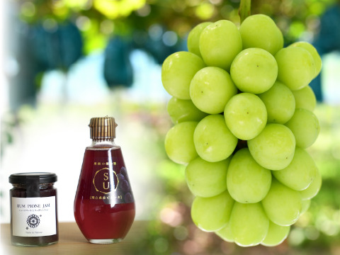 花笑み農園　シャインマスカットと加工品セット（ピオーネジャム＆飲む酢）【9/23～順次発送】S-JN