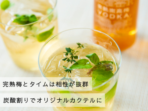 【梅農家×杜氏】完熟南高梅VODKA/ウォッカ梅酒315ml 29度