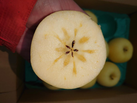 希少品種　はるか　３キロ　家庭用