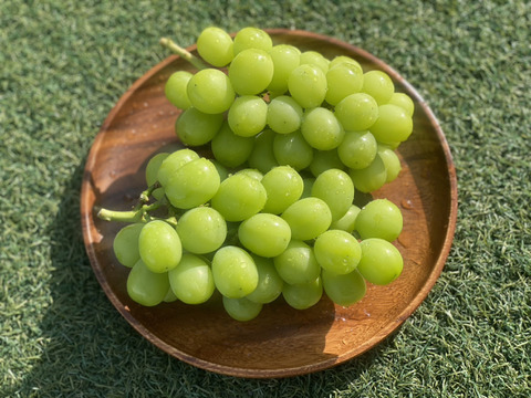 【数量限定】むぎゅっと濃い果汁！シャインマスカット２房(本州限定）