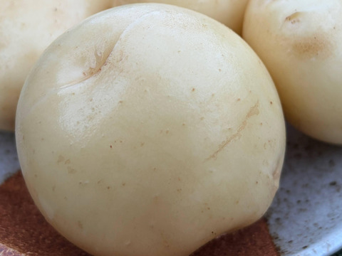 デジマ｜ホクホク旨味が濃い新じゃが 皮ごと食べられる島じゃがいも ４kg