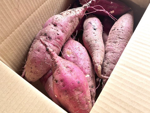 とろ蜜スイート🍯島原の紅はるか🍠｜5kg【冬ギフト】