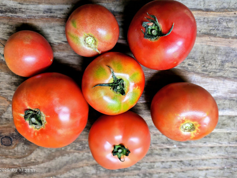 訳あり含む！　コクと甘み！広がる旨み！　有機トマトとミニトマトのセット2kg！
