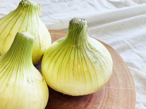 まずは、お試し!!食べてみないとわからない!!あま~い淡路島産 新玉ねぎ2.5kg 超極早生品種 たまねぎ
