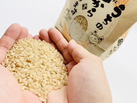 【玄米】今年の採れたてのお米を玄米で！(3kg)