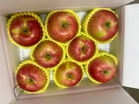 まるせい果樹園の陽光　3ｋ　贈答用　自家用　(6～15玉入り)　玉数指定不可 ry1