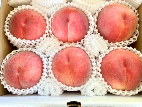 【贈答用】原産地・川中島からお届け「川中島白桃」2㎏（5～8玉）