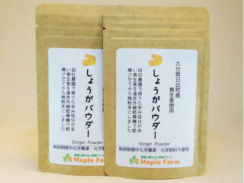 メール便でお届け ピリッと辛い黄生姜使用 しょうがパウダーg 2袋 栽培期間中農薬 化学肥料不使用 大分県産 食べチョク 農家 漁師の産直ネット通販 旬の食材を生産者直送