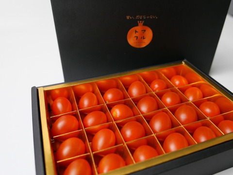 【父の日ギフト】糖度10以上のフルーツミニトマト｜贈答用ギフトボックス