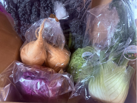 お料理の幅が広がる！ 季節の西洋野菜 Italian selection 60サイズ