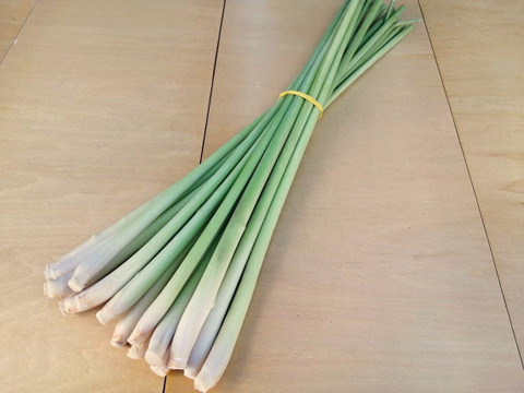 生のレモングラス（茎）