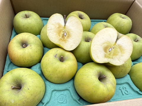 魅力爆発中！「こつぶのまんま」青林　約3kg箱11〜14玉