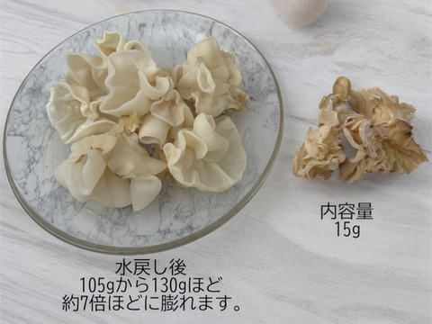 【希少な国産・白い乾燥きくらげ】6袋セット（15g×6袋）～出雲の自然と手仕事から生まれる美容と健康の贅沢食材～