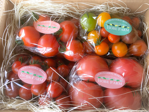 磯部農場の一番人気✨トマト詰め合わせセット