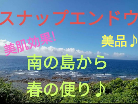 シャキシャキ甘い！沖永良部島産スナップエンドウA品　500ｇ