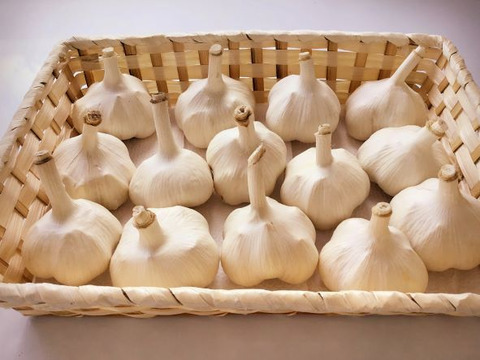 青森県平川市産にんにく500g