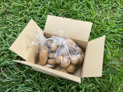 詰め合わせ☆山育ちジャガイモ『きたあかり』1kg『メークイン』1kg