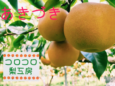 大豊作‼️300円引き【繊細なシャリ感と上品な甘さ‼️】あきづき梨贈答用2.2kg(4-7個入)✨️甘くて果汁たっぷり💦シャリシャリ食感と桃のような風味が特長です‼️鮮度を保つ為クール便で発送🚚