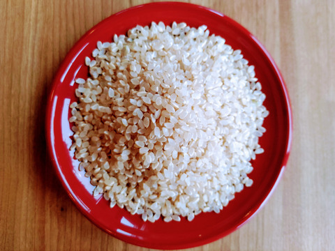 一等米【5分づき精米4kg（2kg×2袋）】特別栽培米コシヒカリ【80】サイズ　令和5年産・有機質肥料のみ・動物性堆肥不使用・低農薬（80％以上削減）
