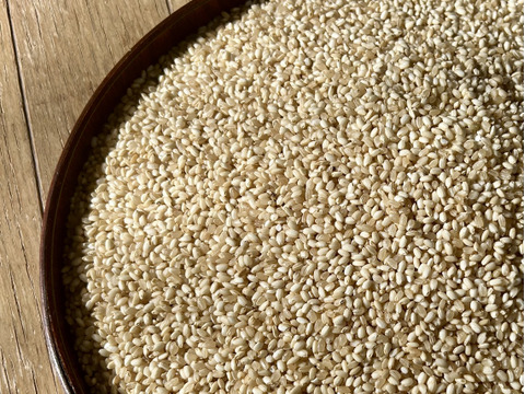 農薬化学肥料不使用『もちひかり』玄米３kg令和７年産　信州佐久穂町