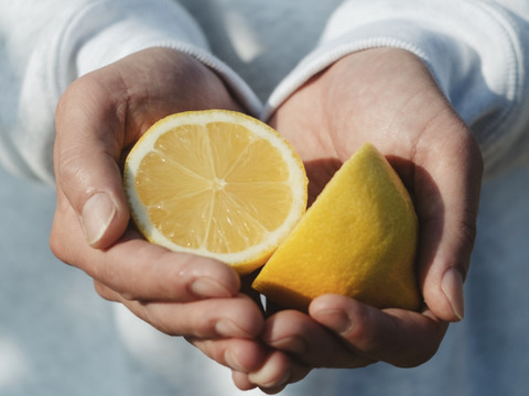 早割【皮まで食べられる】愛媛レモン 10kg【防腐剤・ワックス不使用】家庭用