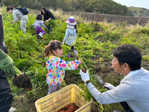愛され食され40年『雪夏稚くんじゃがいも10kg』熟成コナヒメver.